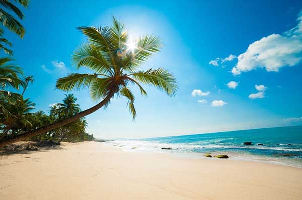 top-10-dia-diem-du-lich-nha-trang-khong-the-bo-qua(1)