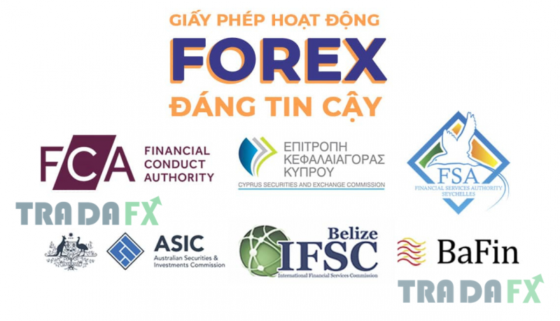 FCo1GHZ0k-bang-xep-hang-tao-nen-san-bang-xep-hang-san-forex-1