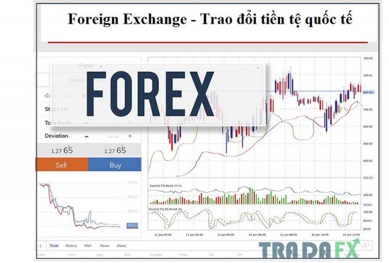 Ksm8Sj7TS-san-giao-dich-forex-la-gi-3